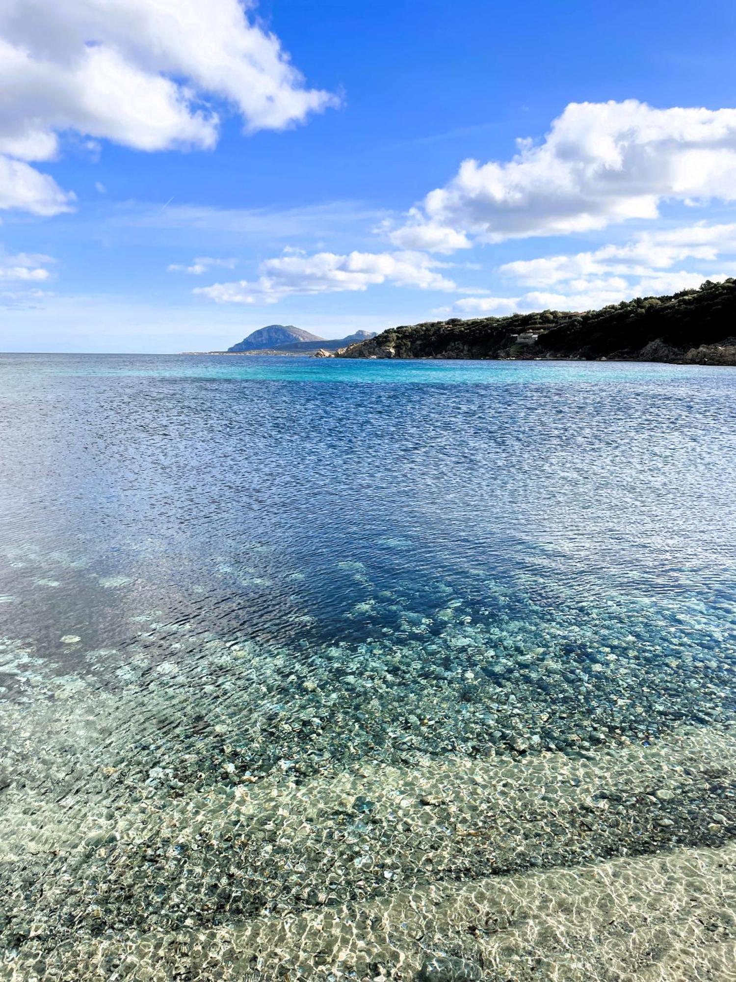Bellissimo Appartamento Con Veranda Privata Al Centro Di Porto Rotondo Bagian luar foto